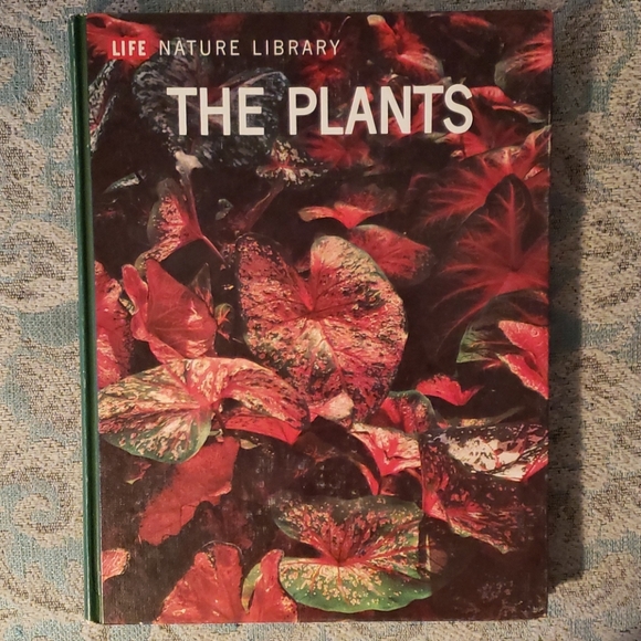 Plants - hardback